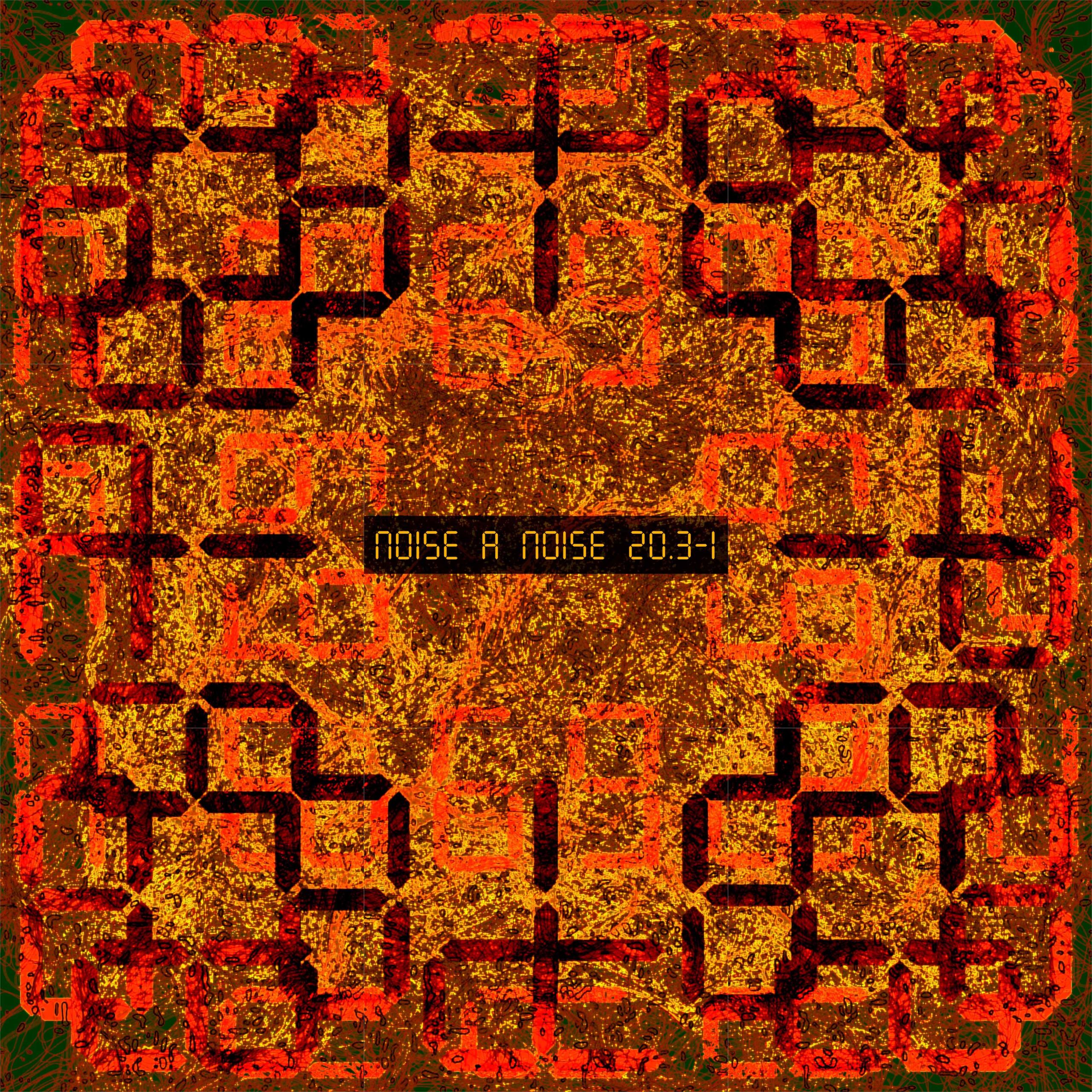 Noise à Noise 20.3-1 (Disk1)