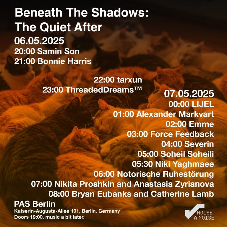 Poster of Beneath The Shadows: The Quiet After